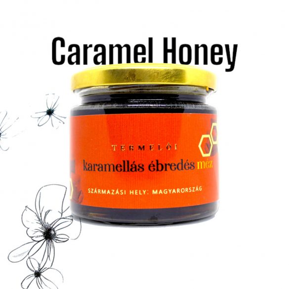 Caramel Awakening Honey 230g (mit Akazienhonig)